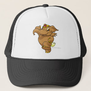Casquette Brun d'Elephante