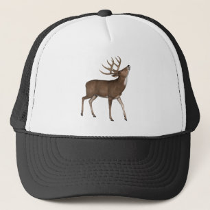 Casquette Buck Deer Stag Faune Animaux Nature Antlers