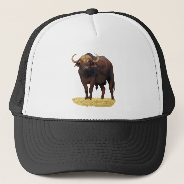 Casquette Buffalo d'eau africain (Devant)