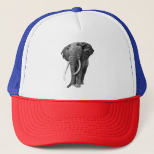 Casquette Bull éléphant - Dessin au crayon