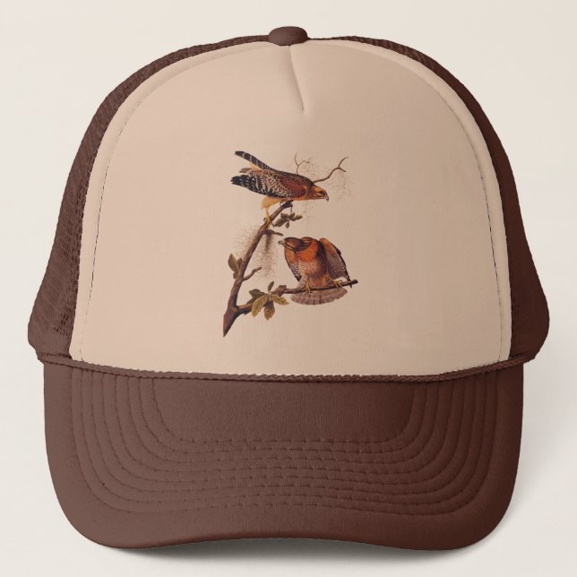 Casquette Buse à épaulettes roux Audubon Oiseau de proie (Devant)