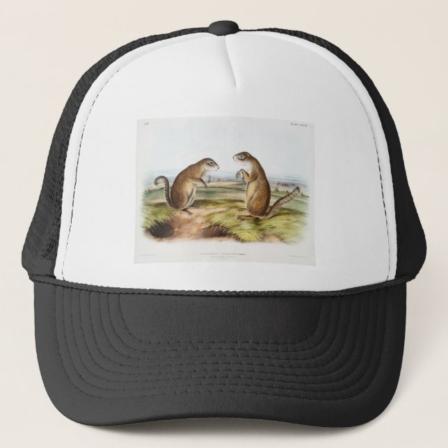 Casquette Cadeaux de camping de Marmot Squirrel de Franklin (Devant)