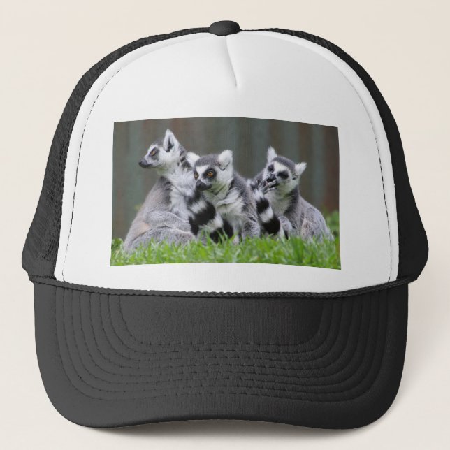 Casquette Cadeaux Lemur et Tee - shirts (Devant)