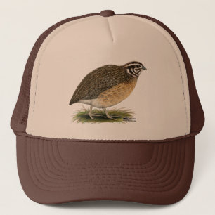 Casquette Cailles de pharaon de Coturnix