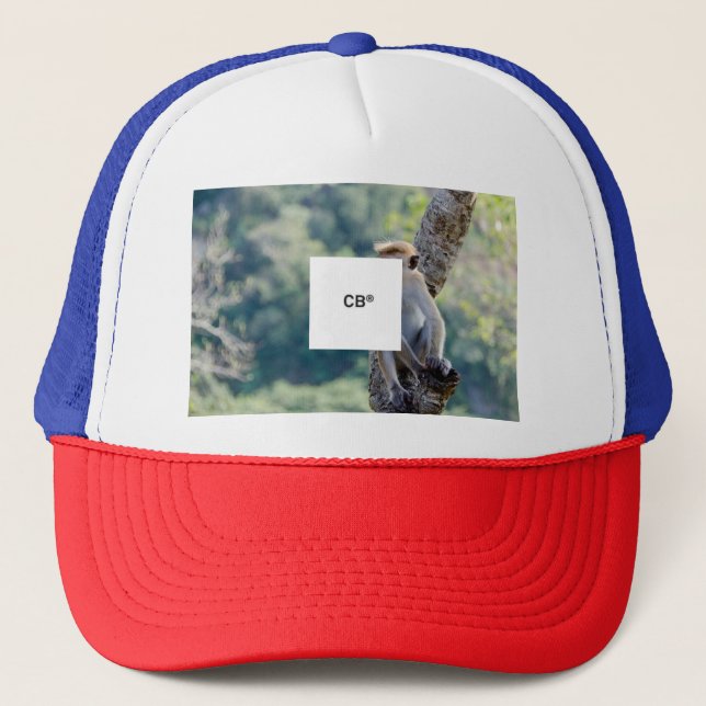 Casquette camiseta monkey  (Devant)