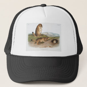 Casquette Camping de chiens des Prairies ou d'écureuils des