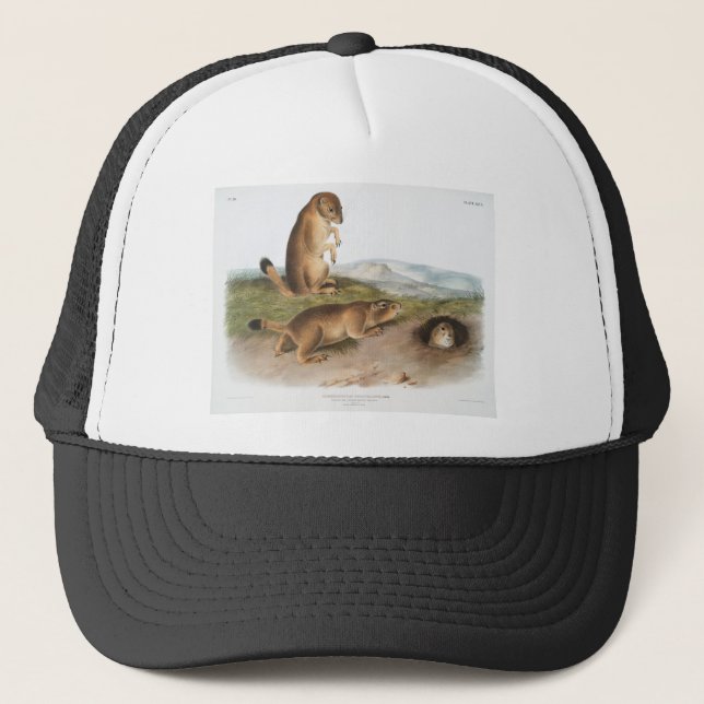 Casquette Camping de chiens des Prairies ou d'écureuils des  (Devant)