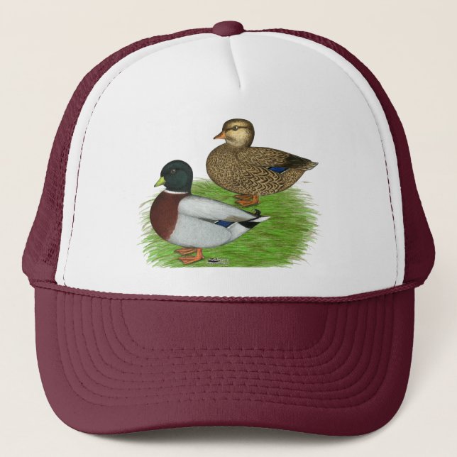 Casquette Canards : Appels gris (Devant)
