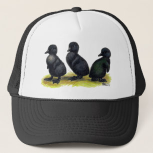 Casquette Canetons Black Cayuga