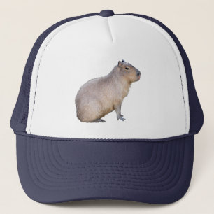 Casquette Capybara