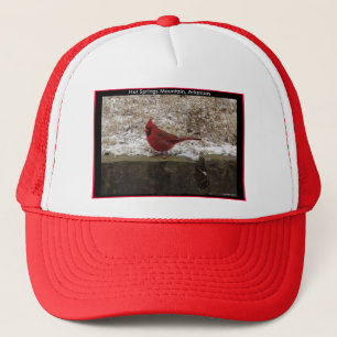 Casquette Cardinal Hot Springs Nat. Cadeaux AR Park Mountain