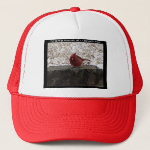 Casquette Cardinal Hot Springs Nat. Park Mt AR Cadeaux Vêtem