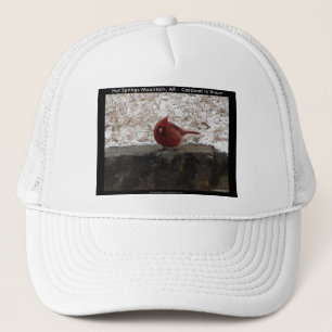 Casquette Cardinal Hot Springs Nat. Park Mt AR Cadeaux Vêtem