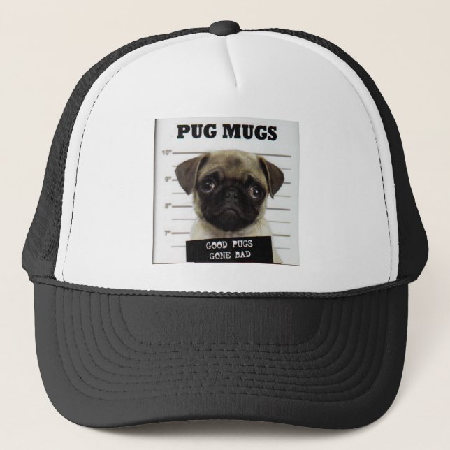Casquette Carlins (Devant)
