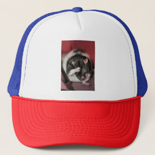 Casquette Casque