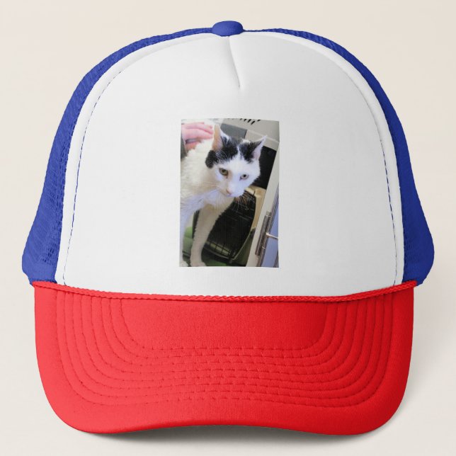 Casquette Cat (Devant)