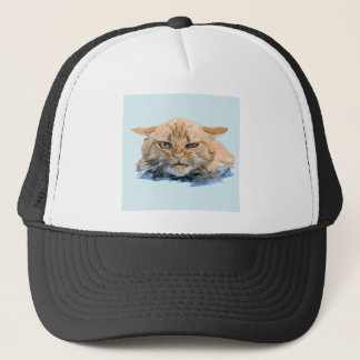 CASQUETTE CAT 10
