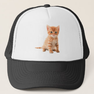 Casquette cat-image-téléchargement-image produits imprimés