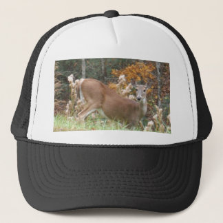 Casquette Cerf d'automne dans le lac Arrowhead