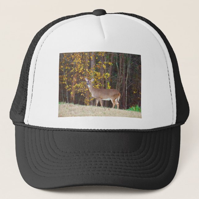 Casquette Cerf devant l'arbre d'automne jaune (Devant)