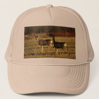 Casquette Cerfs communs dans le pré de matin