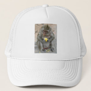 Casquette C'est à moi ! ! ... Singe Macaque thaïlandais sauv