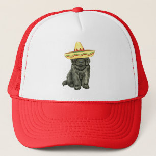 Casquette Chapeau de camion Fiesta Newfoundland