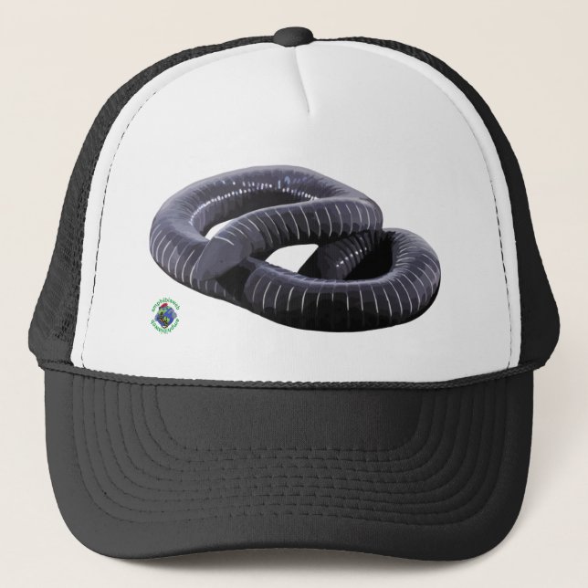 Casquette Chapeau de camionneur Caecilian (Devant)