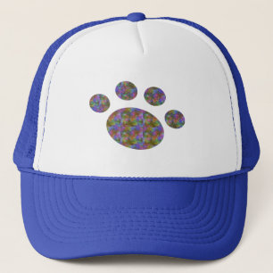 Casquette Chapeau Multi Couleurs Patte