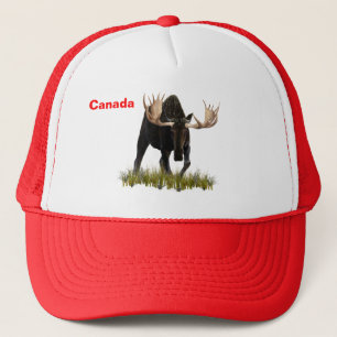 Casquette Charging Bull Moose