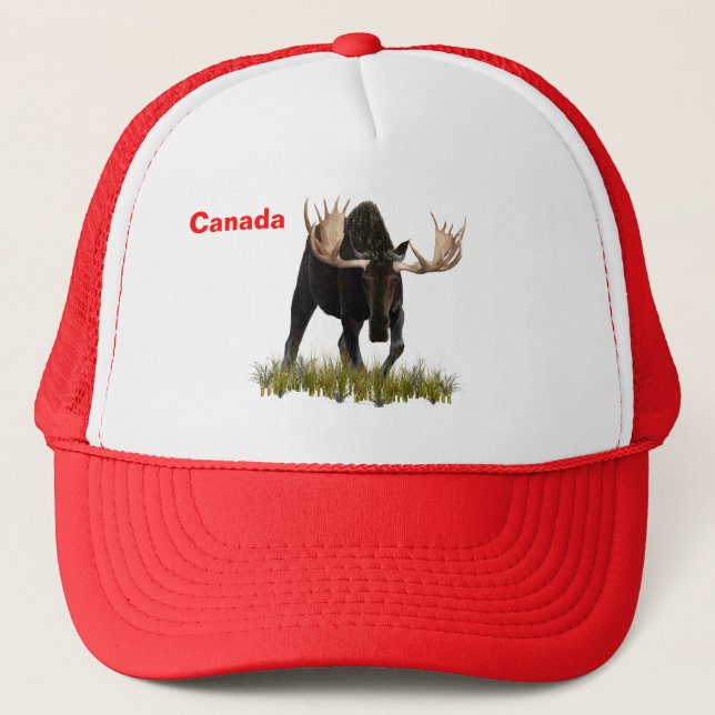 Casquette Charging Bull Moose (Devant)