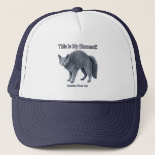 Casquette Chat bleu russe – C'est mon humain