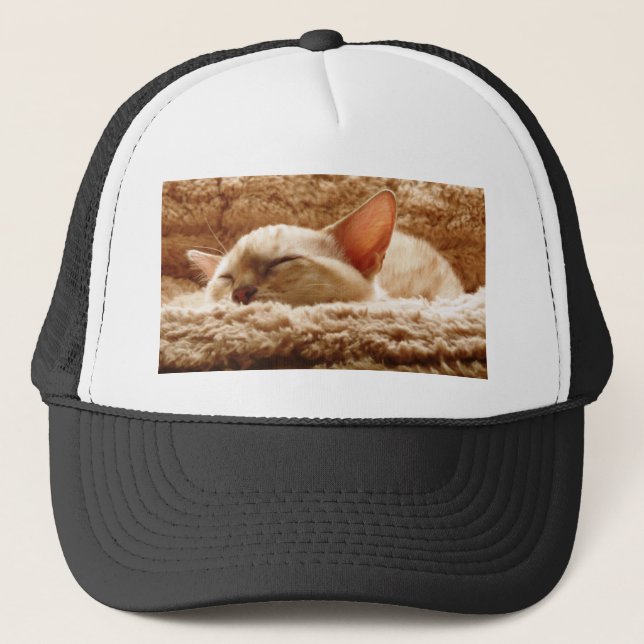 Casquette Chat couché (Devant)