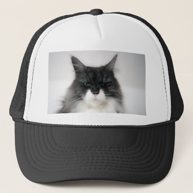 Casquette chat fâché (Devant)