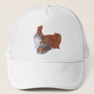 Casquette Chat Persan calicot et chat roux à poil long