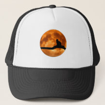 Chat sur le coucher du soleil du journal -casquett