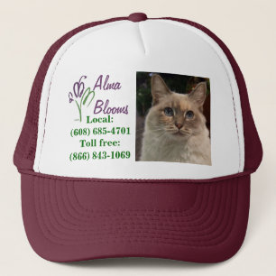 Casquette Chat sur un casquette...