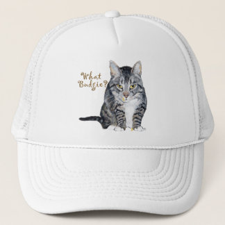 Casquette Chat tigré demande : Quel Perruche?