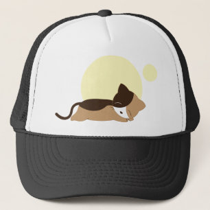 Casquette Chaton couchant