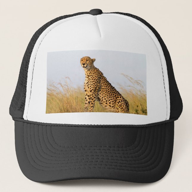 Casquette Cheetah (Devant)