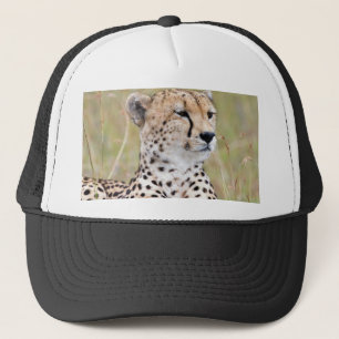 Casquette Cheetah