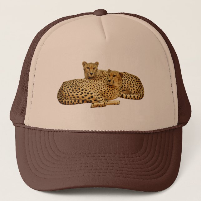 Casquette Cheetahs (Devant)