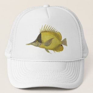 Casquette Chelmon Tropical Jaune Longirostris, Poisson Vinta