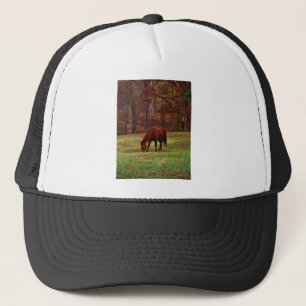 Casquette Cheval Brown avec nez blanc au bord des bois