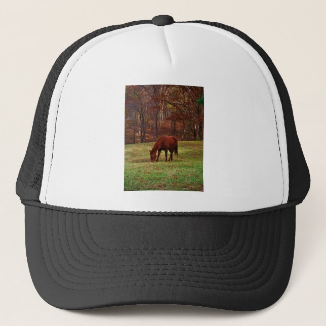 Casquette Cheval Brown avec nez blanc au bord des bois (Devant)