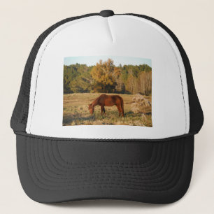Casquette Cheval Brown dans le champ d'arbre jaune