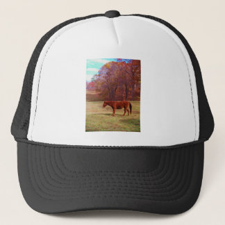 Casquette Cheval Brown dans un champ d'herbe
