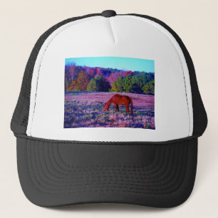 Casquette Cheval Brown en Grass violet