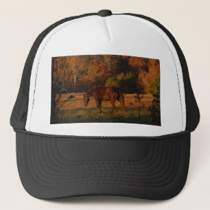 Casquette Cheval Brown rouge, bois d'automne.