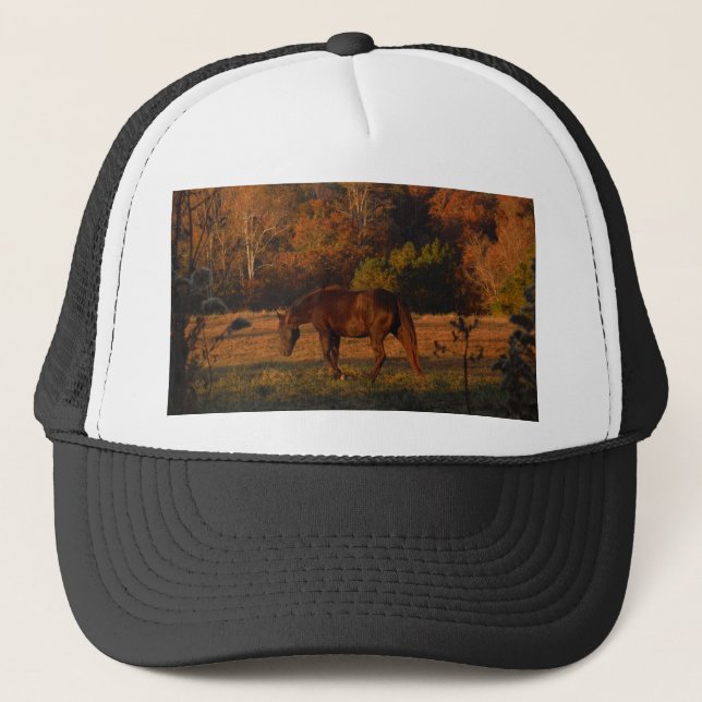 Casquette Cheval Brown rouge, bois d'automne. (Devant)